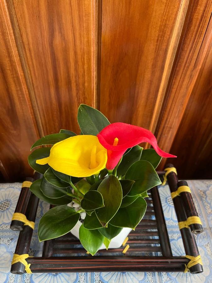 Love Homestay & Spa Quy Nhơn Ngoại thất bức ảnh